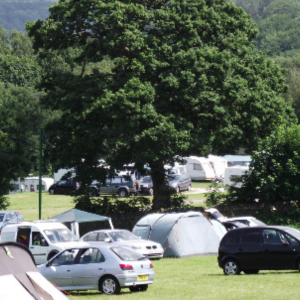 Birchwood-Farm-Campsite-Matlock-Family-Friendly-in-Derbyshire