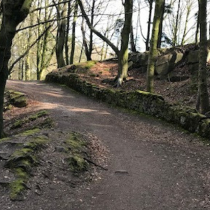 Walking-Trail-at-Birchwood-Farm-Campsite-Derbyshire