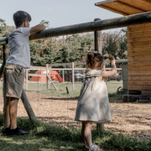 Laurel Park Campsite Lincolnshire