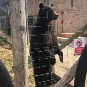 Lincolnshire-Wildlife-Park-Family-Visit