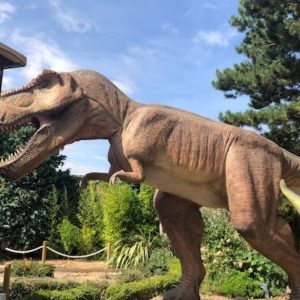 Skegness-Aquarium-Dinosaur-land-for-families