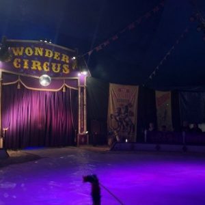 Skegness-Wonder-Circus-near-Southview-Holiday-Park