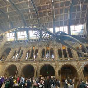 Family-Things-To-Do-in-London-Natural-History-Museum-Dinosaur